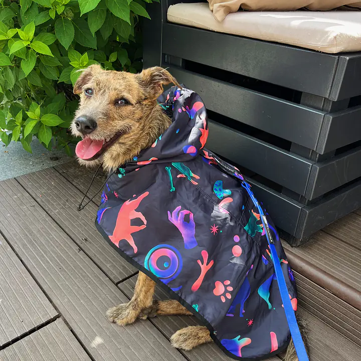 Raincoat for dog "Psychodelic" - Master
