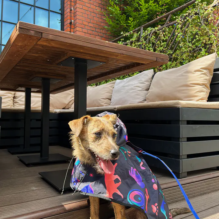 Raincoat for dog "Psychodelic" - Master