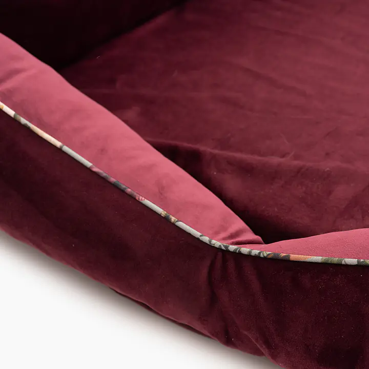 Orthopedic velvet couch "Catollage" - Master