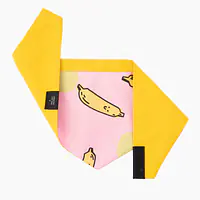 Bandana "We went bananas" - Master