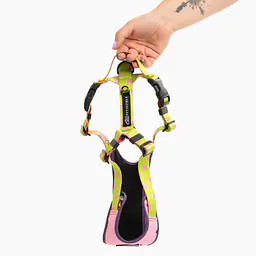 "We went bananas" pressure-free harness - Master