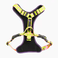 Szelki bezuciskowe dla psa lub kota "Owoc falliczny 2.0" - Master