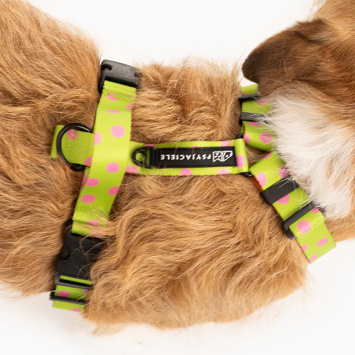 Szelki bezuciskowe dla psa lub kota "Owoc falliczny 2.0" - Master