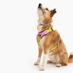 "We went bananas" pressure-free harness - Master