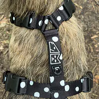 Stay-on guard harness "Adopt the dot" - Master