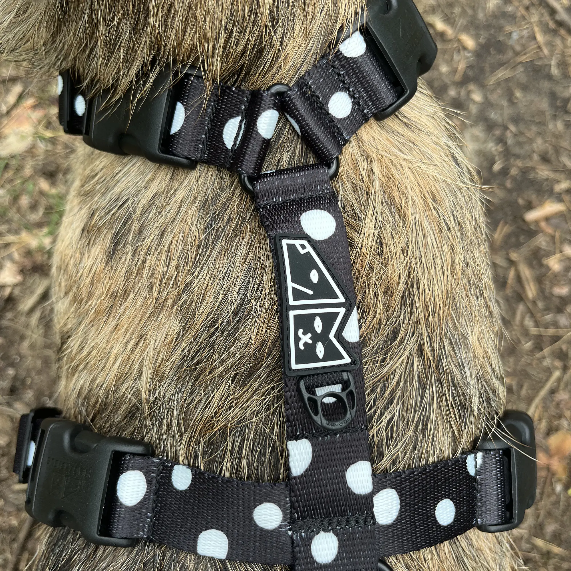 Stay-on guard harness "Adopt the dot" - Master
