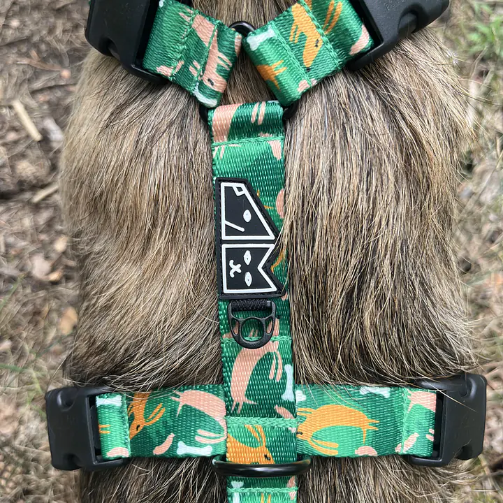 Szelki guard Stay on "Psy na jawie" - Master