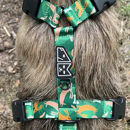 Stay-on guard harness "Sleepy dogs" - Master