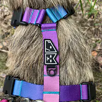 Szelki guard Stay on "Under my umbrella - turkus" - Master