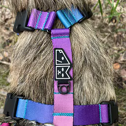 Szelki guard Stay on "Under my umbrella - turkus" - Master