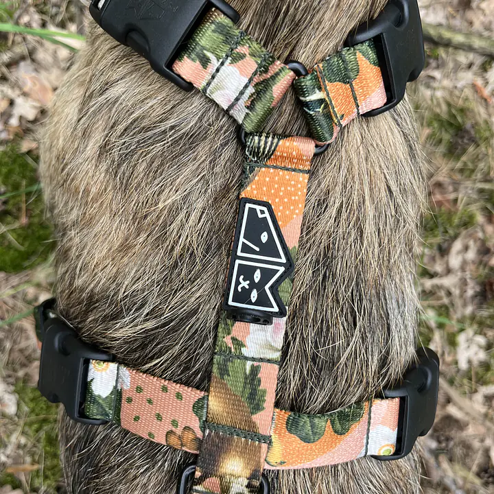 Szelki guard Stay on "Wie wiórka co dobre" - Master