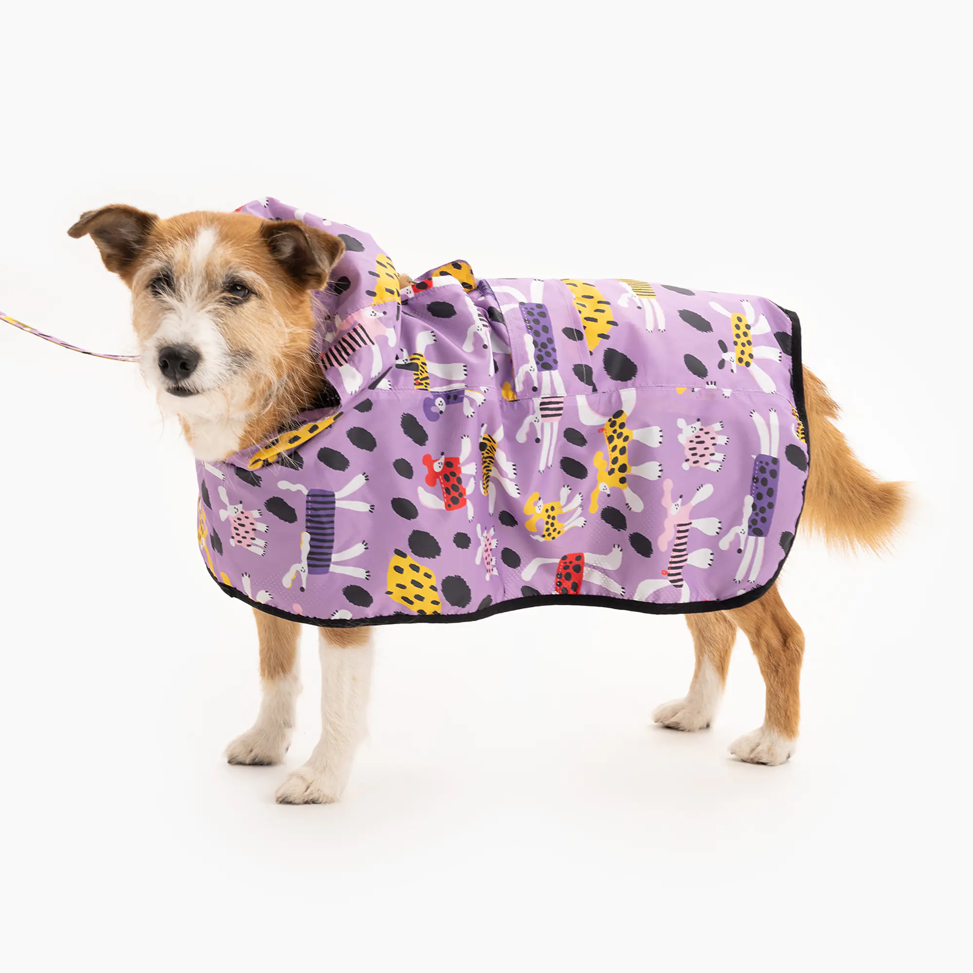 Raincoat for dog "Doggo in sheep's clothing" - Master