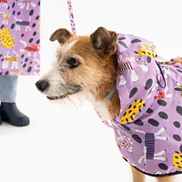 Raincoat for dog "Doggo in sheep's clothing" - Master