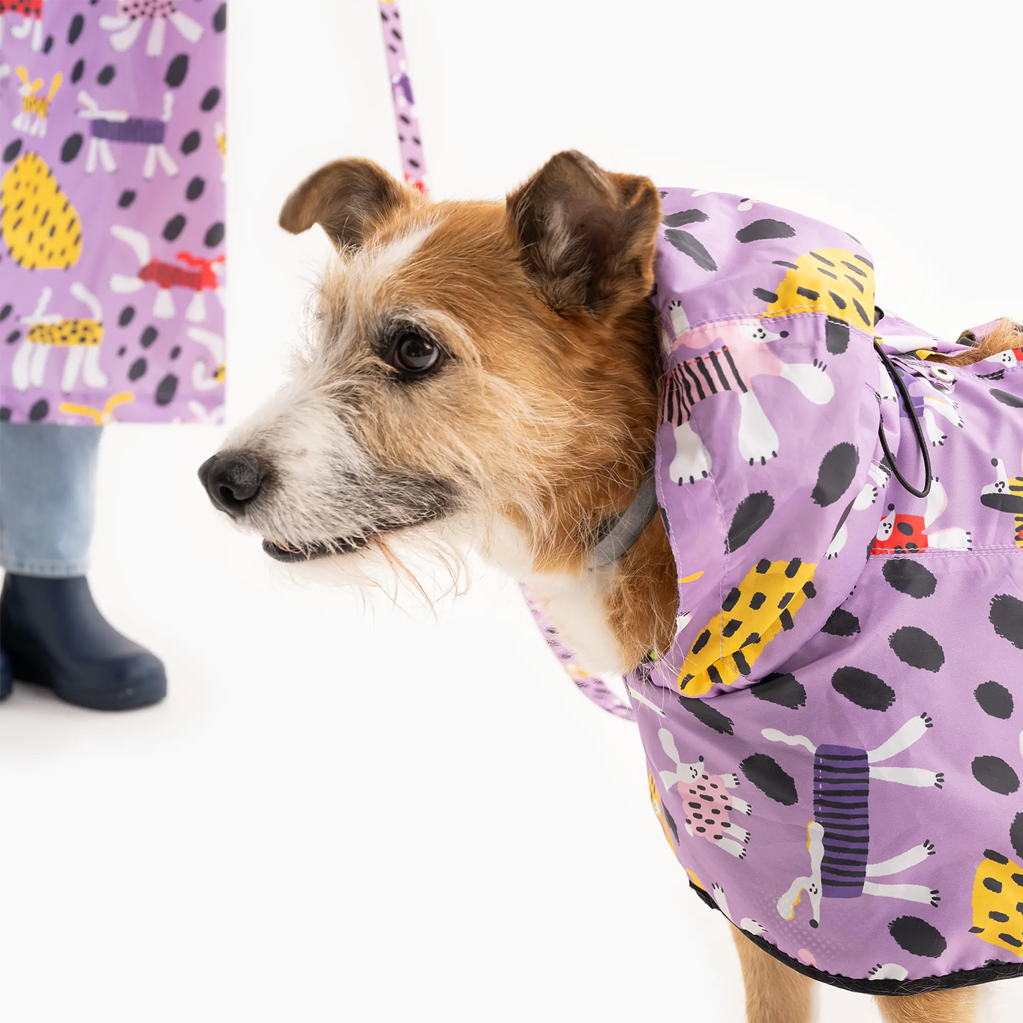 Raincoat for dog "Doggo in sheep's clothing" - Master