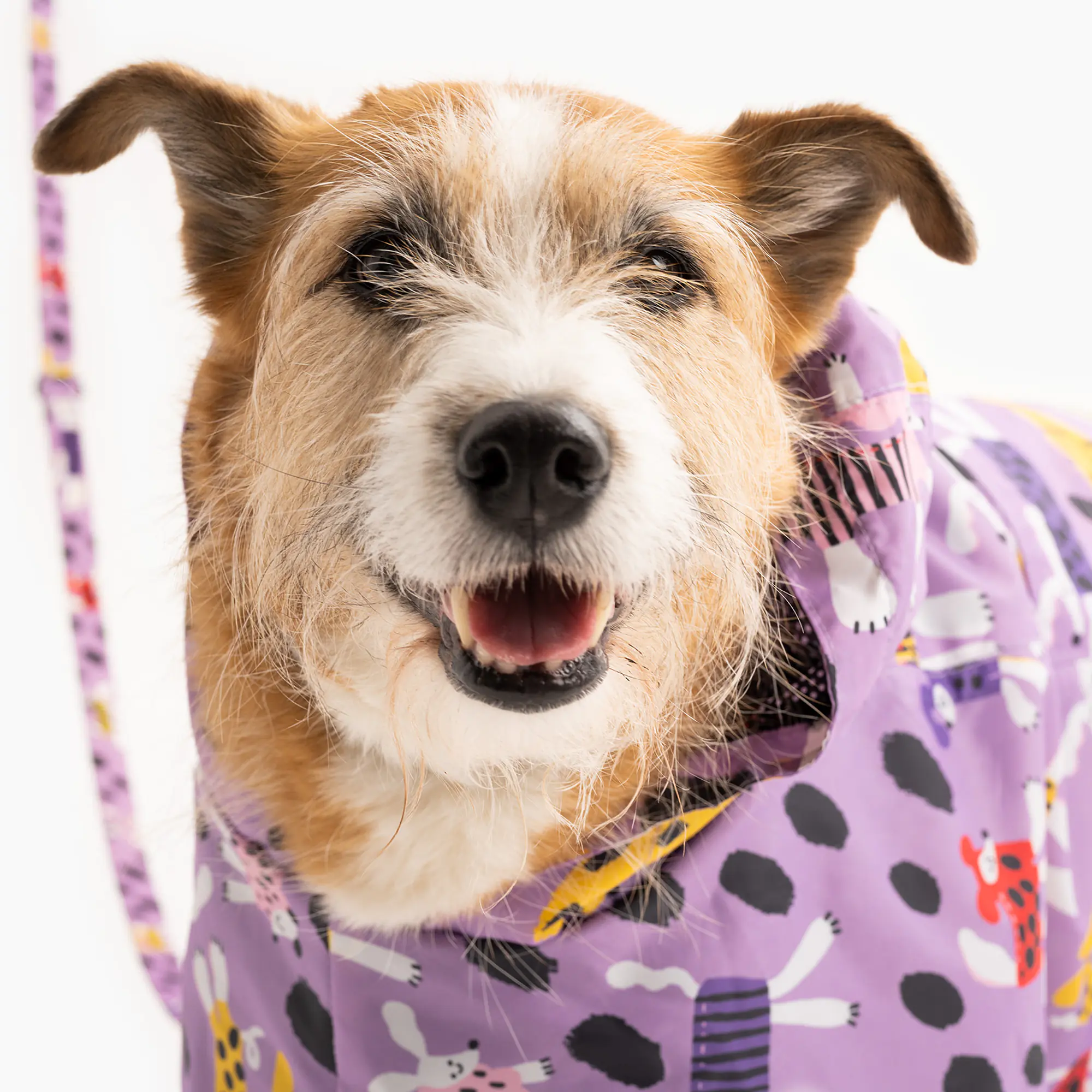 Raincoat for dog "Doggo in sheep's clothing" - Master