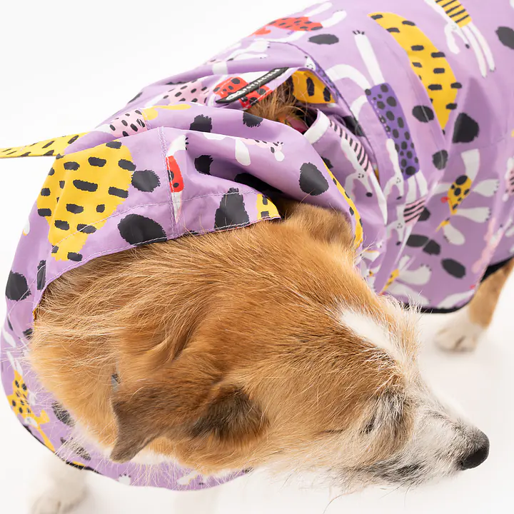 Raincoat for dog "Doggo in sheep's clothing" - Master