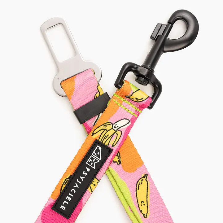 Pasy samochodowe "Owoc falliczny 2.0" - Master