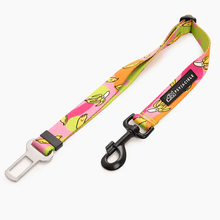 Pasy samochodowe "Owoc falliczny 2.0" - Master