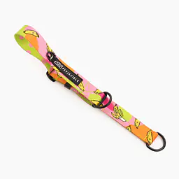 Obroża półzaciskowa dla psa lub kota "Owoc falliczny 2.0" - Master