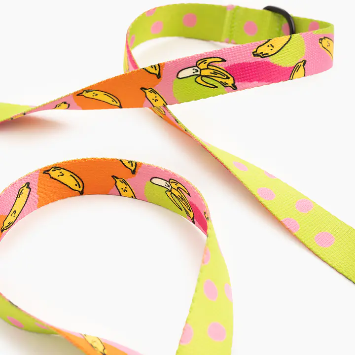 Smycz przepinana dla psa lub kota "Owoc falliczny 2.0" - Master