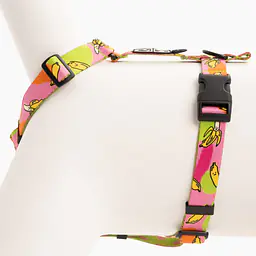 "We went bananas" dog or cat harness - Master