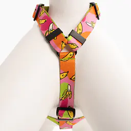 "We went bananas" dog or cat harness - Master