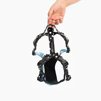 Stay-on pressure-free harness "What does the seal say?" - Master