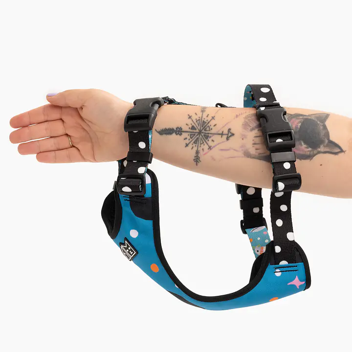 Stay-on pressure-free harness "What does the seal say?" - Master