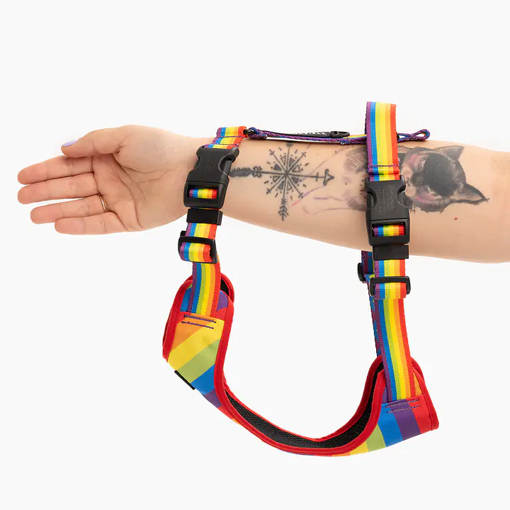 Stay-on pressure-free harness "Love, Equality, Teethers" - Master