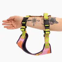 Szelki bezuciskowe Stay on "Owoc falliczny 2.0" - Master