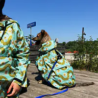 Raincoat for dog "Sausage dog" - Master