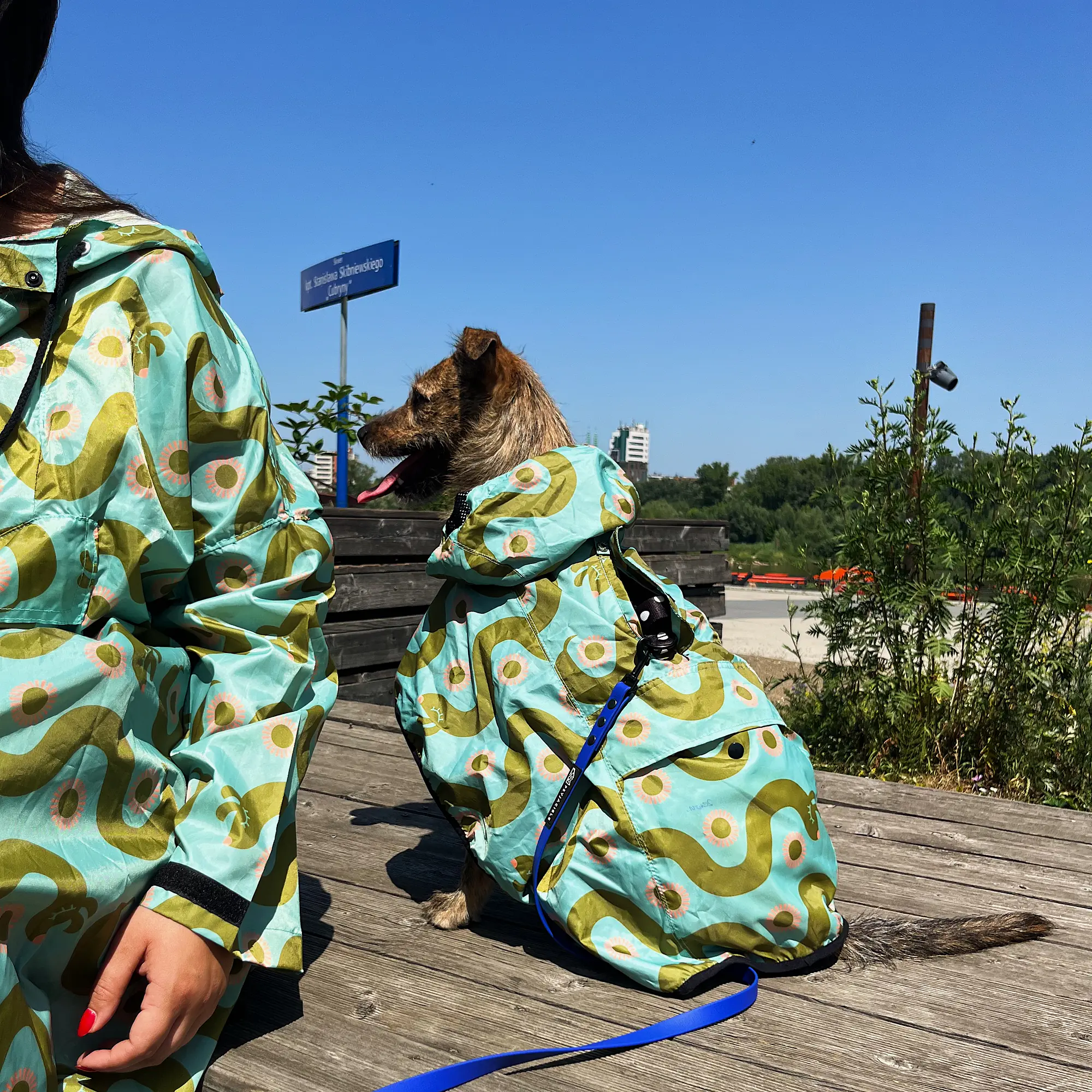 Raincoat for dog "Sausage dog" - Master