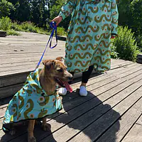 Raincoat for dog "Sausage dog" - Master