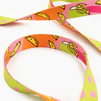 Smycz miejska dla psa lub kota "Owoc falliczny 2.0" - Master