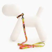 Obroża dla psa lub kota "Owoc falliczny 2.0" - Master