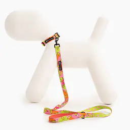 Dog or cat collar "We went bananas" - Master