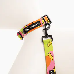 Dog or cat collar "We went bananas" - Master