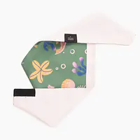 Bandana "Doggosaurus" collar - Master