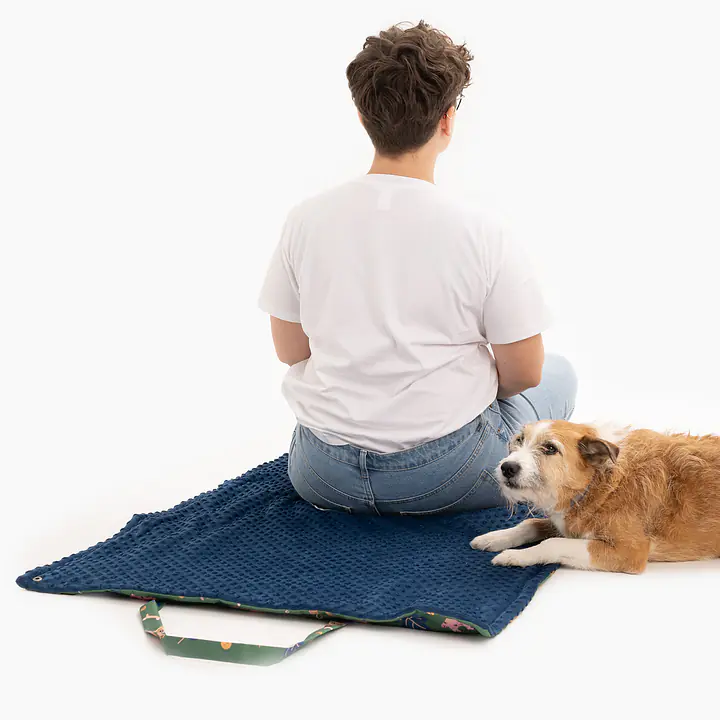 Mat-bag "Doggosaurus" - Master