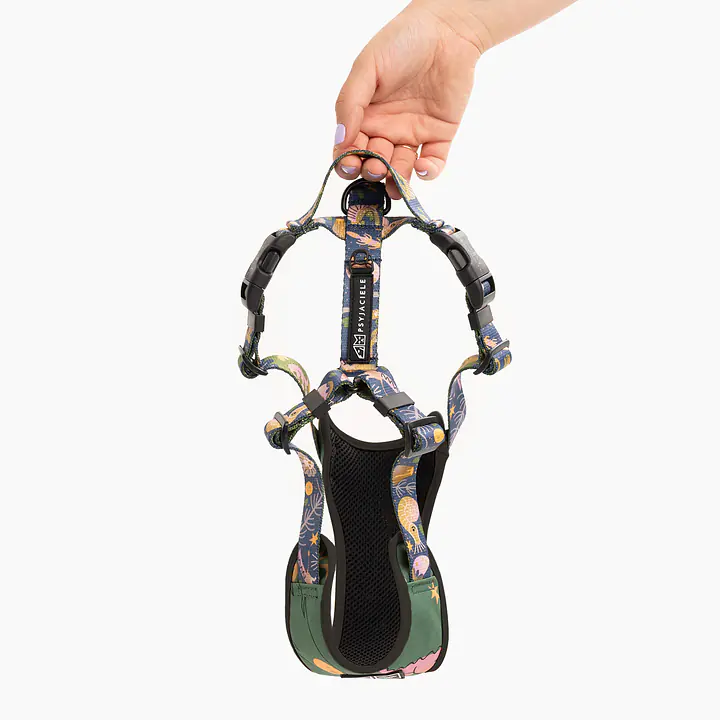 Szelki bezuciskowe dla psa lub kota "Oh my Gad" - Master