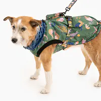 Kurtka dla psa "Oh my Gad" - Master