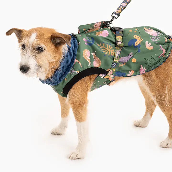 Kurtka dla psa "Oh my Gad" - Master