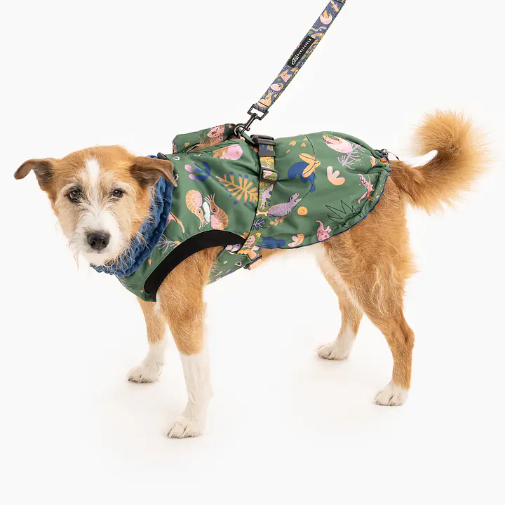 Kurtka dla psa "Oh my Gad" - Master