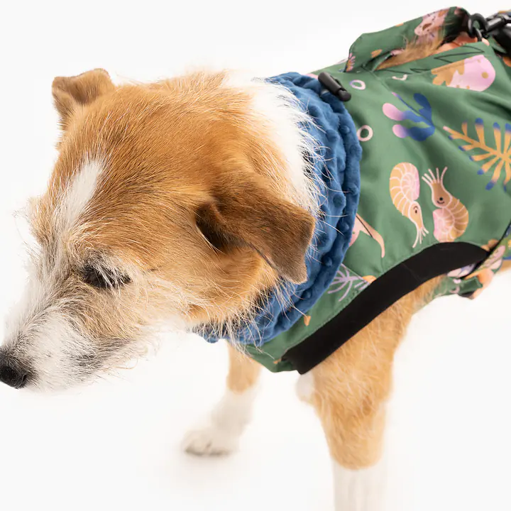 Kurtka dla psa "Oh my Gad" - Master