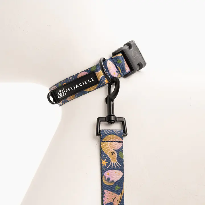 Obroża dla psa lub kota "Oh my Gad" - Master