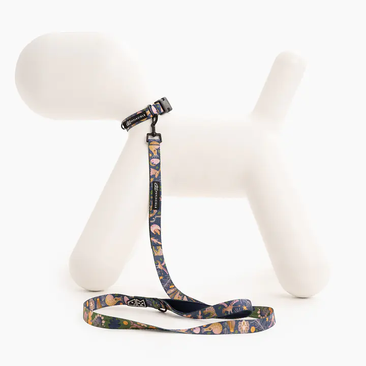 Obroża dla psa lub kota "Oh my Gad" - Master