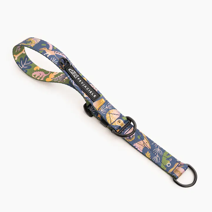 Obroża półzaciskowa dla psa lub kota "Oh my Gad" - Master