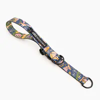 Obroża półzaciskowa dla psa lub kota "Oh my Gad" - Master