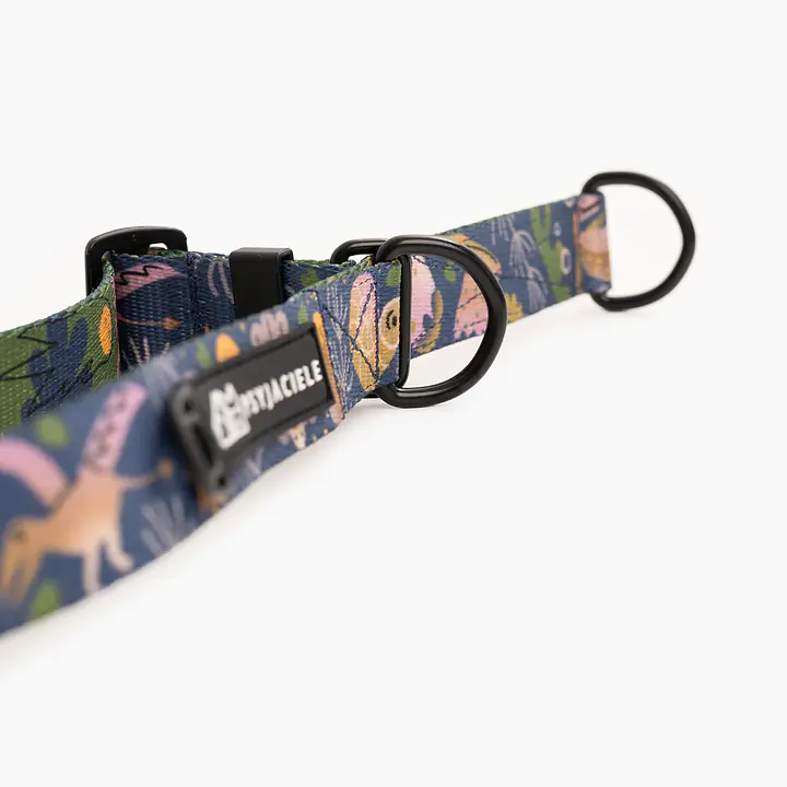 Obroża półzaciskowa dla psa lub kota "Oh my Gad" - Master