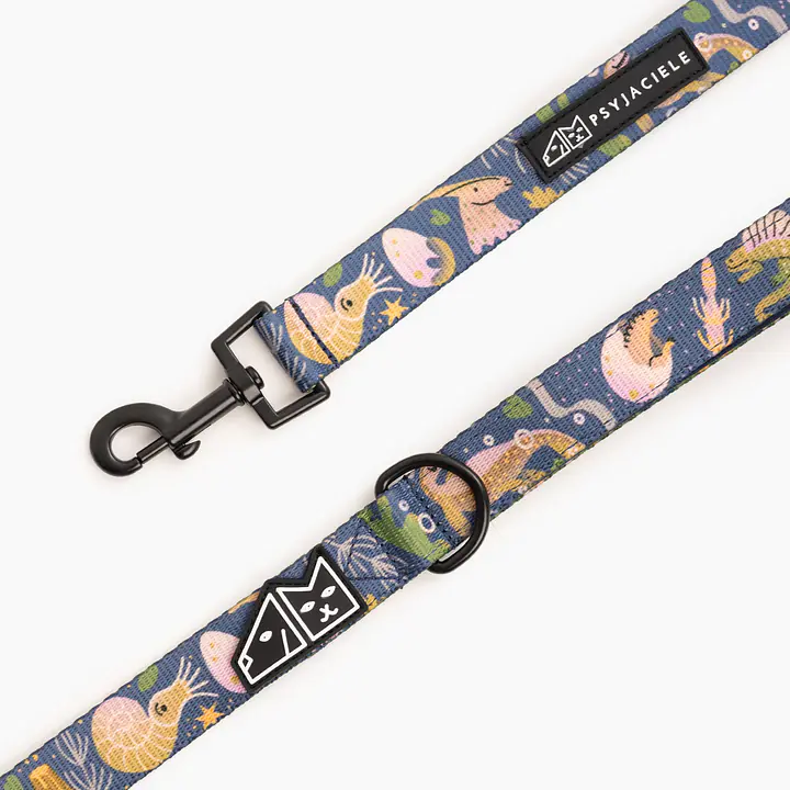 Smycz miejska dla psa lub kota "Oh my Gad" - Master